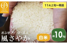 風さやか 白米  約10kg ［ おぶせファーマーズ ］ お米 コメ おこめ ご飯 精米 長野県産 【2025年11月上旬～発送】 ［FK-18］