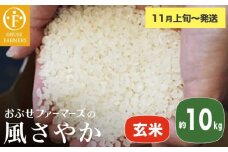 風さやか 玄米  約10kg ［ おぶせファーマーズ ］ お米 コメ おこめ ご飯 精米 長野県産 【2025年11月上旬～発送】［FK-20］