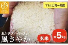 風さやか 玄米  約5kg ［ おぶせファーマーズ ］ お米 コメ おこめ ご飯 精米 長野県産 【2025年11月上旬～発送】［FK-19］