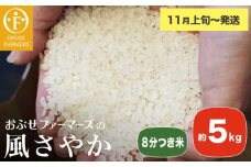 風さやか 8分つき米 約5kg ［ おぶせファーマーズ ］ お米 コメ おこめ ご飯 精米 長野県産 【2025年11月上旬～発送】［FK-21］