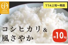 コシヒカリ＆風さやか 食べ比べ 約10kg ［ おぶせファーマーズ ］ お米 コメ おこめ ご飯 精米 長野県産 2種 【2025年11月上旬～発送】 ［FK-29］
