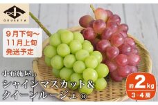 シャインマスカット＆クイーンルージュ® 約2kg 3～4房 ［小布施屋］ 果物 フルーツ ぶどう 葡萄 令和7年産【2025年9月下旬～11月上旬発送】 ［A-703］