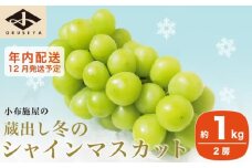 蔵出し冬のシャインマスカット 約1kg 2房 年内配送 ［小布施屋 ］長野県 ぶどう フルーツ 果物 冷蔵便 クール便 令和7年産【2025年12月発送】［A-526］
