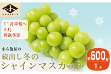 蔵出し冬のシャインマスカット 約600g 1房 ［小布施屋 ］長野県 ぶどう フルーツ 果物 冷蔵便 クール便 令和7年産【2025年11月中旬～2026年2月発送】［A-706］
