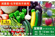 ［年8回定期便］ 農薬・化学肥料を使わずに栽培した野菜と減農薬栽培した果物 年8回定期便 OBUSE Meguru  野菜&フルーツセット シーズンコース［おぶせファーマーズ］おまかせ 野菜 やさい 詰め合わせ 8～12種類 果物 フルーツ 3種類 長野 信州 数量限定 産地直送 令和7年産 【2025年5～6月より順次発送予定】 [FY-4]