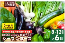 ［年6回定期便］ 農薬・化学肥料を使わずに栽培した野菜年6回定期便 OBUSE Meguru 野菜セット シーズンコース［おぶせファーマーズ］おまかせ 野菜 やさい 詰め合わせ 8～12種類 長野 信州 数量限定 産地直送 令和7年産 【2025年5～6月より順次発送】  ［FY-5］