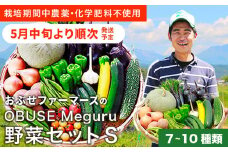  ［栽培期間中農薬・化学肥料不使用 ］OBUSE Meguru 野菜セット S 7～10種類 ［おぶせファーマーズ］野菜 詰め合わせ おまかせ やさい 詰合せ お楽しみ 長野県産 信州 令和7年産 【2025年5月中旬より順次発送】  [FY-1]
