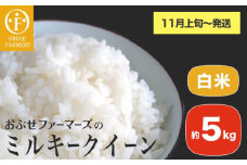 ミルキークイーン 白米 約5kg ［ おぶせファーマーズ ］お米 コメ おこめ ご飯 精米 長野県産 【2025年11月上旬～発送】 [FK-23] 