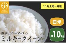 ミルキークイーン 白米 約10kg ［ おぶせファーマーズ ］ お米 コメ おこめ ご飯 精米 長野県産 【2025年11月上旬～発送】[FK-24]