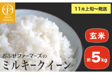 ミルキークイーン 玄米 約5kg ［ おぶせファーマーズ ］ お米 コメ おこめ ご飯 精米 長野県産 【2025年11月上旬～発送】 [FK-25]
