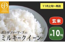 ミルキークイーン 玄米 約10kg ［ おぶせファーマーズ ］ お米 コメ おこめ ご飯 精米 長野県産 【2025年11月上旬～発送】  [FK-26]