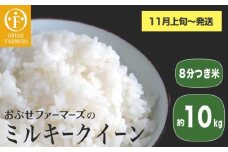 ミルキークイーン 8分つき米 約10kg ［ おぶせファーマーズ ］ お米 コメ おこめ ご飯 精米 長野県産 【2025年11月上旬～発送】 [FK-28]