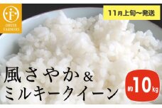 風さやか＆ミルキークイーン 食べ比べ 約10kg ［ おぶせファーマーズ ］ お米 コメ おこめ ご飯 精米 長野県産 2種  【2025年11月上旬～発送】［FK-31］