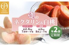 [2回定期便] 旬のネクタリン＆白桃 約2.6～3kg 食べ比べ 年2回定期便 ［おぶせファーマーズ］ネクタリン 白桃 フルーツ 果物 冷蔵便 クール便 長野県産 信州産 小布施 令和7年産【2025年7月中旬～8月下旬発送】[F-69]