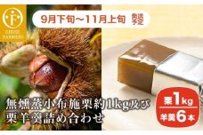 無燻蒸小布施栗約1kg及び栗羊羹詰め合わせ ［おぶせファーマーズ］ 果物 フルーツ 生栗 くり 栗 無くん蒸　スイーツ 和菓子 かのこ 羊羹 栗羊羹 ようかん 詰め合わせ 長野県産 信州産 令和7年産 【2025年9月下旬～11月上旬発送】 ［F-65］