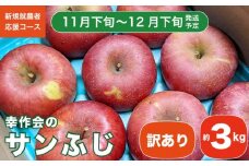 【訳あり】 サンふじ 約3kg ［新規就農者応援コース 幸作会］フルーツ 果物 りんご 林檎 長野県産 信州産  令和7年産【2025年11月下旬～12月下旬発送】  ［KH-50］