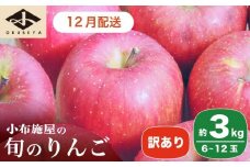 ［訳あり］ 旬のりんご 約3kg 6～12玉 ［小布施屋］ 傷 規格外 不揃い 訳アリ 家庭用 りんご 林檎 リンゴ 果物 フルーツ 長野県産 信州産 特産 産地直送 産直 数量限定 先行予約 令和7年度産 【2025年12月配送】［A-304c］