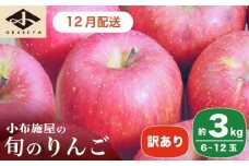 ［訳あり］ 旬のりんご 約3kg 6～12玉 ［小布施屋］ 傷 規格外 不揃い 訳アリ 家庭用 りんご 林檎 リンゴ 果物 フルーツ 長野県産 信州産 特産 産地直送 産直 数量限定 先行予約 令和7年度産 【2025年12月配送】［A-304c］