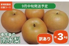 【訳あり】南水 約3kg ［新規就農者応援コース 幸作会］ 梨 なし フルーツ 果物 ワケアリ 傷 キズ 不揃い 規格外 家庭用 長野県産 信州 数量限定 【2025年9月中旬発送】［K-41］