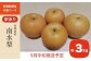 信州生まれの「南水」は、和梨の中でも特に高い糖度と日持ちが良いことから近年、人気の梨です。