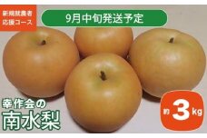 梨 南水 約3kg ［新規就農者応援コース 幸作会］ 梨 なし フルーツ 果物  長野県産 信州 数量限定 【2025年9月中旬発送】［K-42］