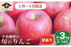 ［訳あり］ 選べる配送時期 旬のりんご 約3kg 6～14玉 ［小布施屋］ 傷 規格外 不揃い 訳アリ 家庭用 りんご 林檎 リンゴ 果物 フルーツ 長野県産 信州産 特産 産地直送 産直 数量限定 先行予約 3月発送 4月発送 令和7年産 【2026年3月～2026年4月配送】［A-304e］