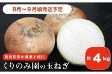 ［栽培期間中農薬・化学肥料不使用］くりのみ園の玉ねぎ  約4kg ［くりのみ園］数量限定 期間限定 野菜 やさい 玉葱 タマネギ 長野県産  信州産【2025年8月～9月頃発送】［H-88］