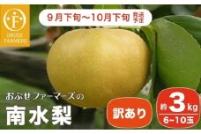 【訳あり】南水 約3kg 6〜10玉  [おぶせファーマーズ]  梨 なし フルーツ 果物 ワケアリ 傷 キズ 不揃い 規格外 家庭用 クール便 冷蔵便 長野県産 信州 先行予約 数量限定 【2025年9月下旬〜10月下旬発送】［F-32］