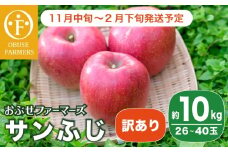 【訳あり】 サンふじ 約10kg 26～40玉［おぶせファーマーズ］不揃い 規格外 家庭用 りんご 林檎 リンゴ 果物 フルーツ ふじ 長野 信州 数量限定 令和7年産  【 2025年11月中旬～2026年2月下旬発送】［F-540］