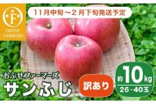 【訳あり】 サンふじ 約10kg 26～40玉［おぶせファーマーズ］不揃い 規格外 家庭用 りんご 林檎 リンゴ 果物 フルーツ ふじ 長野 信州 数量限定 令和7年産  【 2025年11月中旬～2026年2月下旬発送】［F-540］