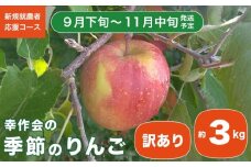 【訳あり】 季節のりんご 約3kg ［新規就農者応援コース 幸作会］ 果物 フルーツ りんご 林檎 リンゴ 長野県産 信州産  令和7年産【2025年9月下旬～11月中旬発送】 ［KH-51］