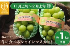 冬に食べるシャインマスカット 約1kg 2房［ おぶせファーマーズ ］ぶどう フルーツ 果物 【2025年11月上旬～2026年2月上旬発送】［F-535］