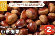 小布施栗 約2kg［おぶせファーマーズ］ 果物 フルーツ 栗 生栗 長野県産 信州産 【2025年10月下旬～2025年12月上旬発送】［F-37］