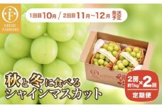 【2回定期便】秋と冬に食べるシャインマスカット 2房（約1kg）× 2回［おぶせファーマーズ］ 果物 フルーツ ぶどう 葡萄 数量限定 長野 信州 令和7年産 【2025年10月〜12月発送予定】 [F-67]
