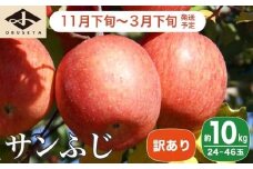 【訳あり】 サンふじ 約10kg 24～46玉 ［小布施屋］ りんご 林檎 リンゴ 不揃い 規格外 果物 フルーツ 生産者応援 支援 家庭用 令和7年産 【2025年11月下旬～2026年3月下旬発送】 ［B-6］