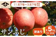 【訳あり】 サンふじ 約5kg 10～23玉 ［小布施屋］ りんご 林檎 リンゴ 不揃い 規格外 果物 フルーツ 生産者応援 支援 家庭用 長野県産 信州産 小布施町 令和7年産 【2025年11月下旬～2026年3月下旬発送】 ［A-12］
