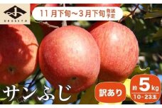 【訳あり】 サンふじ 約5kg 10～23玉 ［小布施屋］ りんご 林檎 リンゴ 不揃い 規格外 果物 フルーツ 生産者応援 支援 家庭用 長野県産 信州産 小布施町 令和7年産 【2025年11月下旬～2026年3月下旬発送】 ［A-12］