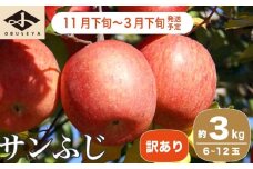 【訳あり】 サンふじ 約3kg 6～12玉 ［小布施屋］ りんご 林檎 リンゴ 不揃い 規格外 果物 フルーツ 生産者応援 支援 家庭用  長野県産 信州産 小布施町 令和7年産 【2025年11月下旬～2026年3月下旬発送】 ［B-71］