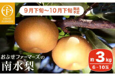 南水 秀品 約3kg 6〜10玉 [おぶせファーマーズ]   梨 なし フルーツ 果物 クール便 冷蔵便 長野 信州 先行予約 数量限定 令和7年産 【2025年9月下旬〜10月下旬発送】［F-31］