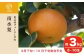 信州生まれの「南水」は、和梨の中でも特に高い糖度と日持ちが良いことから近年、人気の梨です。
