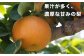甘くて果汁溢れるジューシーな味をぜひご堪能ください。