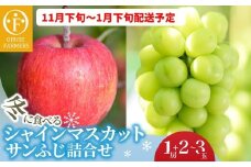 冬に食べるシャインマスカットとサンふじ詰合せ 1房（約500g） 2～3玉［おぶせファーマーズ］ ぶどう りんご 林檎 リンゴ 果物 フルーツ  長野 信州 数量限定 令和7年産【2025年11月下旬～2026年1月下旬発送】