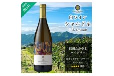 信州たかやまワイナリーのシャルドネ白ワイン1本(長野県高山村産ワインブドウ100%のワイン)【1402297】