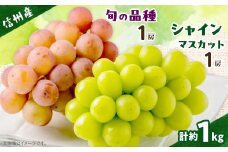 ＜信州産ぶどう2房セット＞ シャインマスカット1房・旬の品種1房(約500g×2房)【1499822】