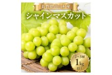 シャインマスカット2～3房(1kg以上)【1404280】