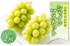 信州高山村 長野県産シャインマスカット　約1kg(2房入)【1408176】