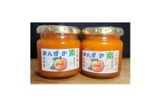 ★自家農園の濃厚旨あんずジャム 200gx4個【1534096】