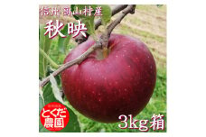 高山村産りんご(秋映)3kg箱【1588229】