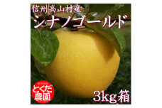 高山村産りんご(シナノゴールド)3kg箱【1588230】