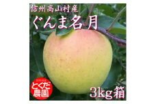 高山村産りんご(ぐんま名月)3kg箱【1588231】